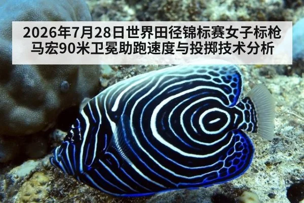 2026年7月28日世界田径锦标赛女子标枪马宏90米卫冕助跑速度与投掷技术分析