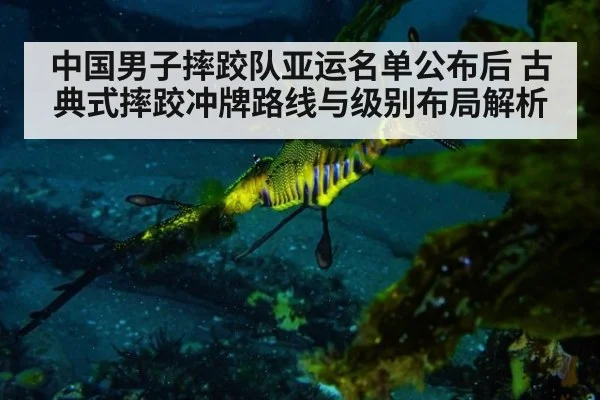 中国男子摔跤队亚运名单公布后 古典式摔跤冲牌路线与级别布局解析